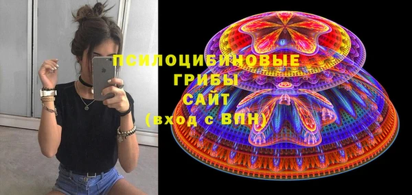 сатива Аркадак