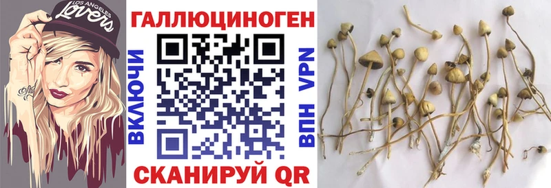 Галлюциногенные грибы мицелий наркота hydra вход Красный Кут