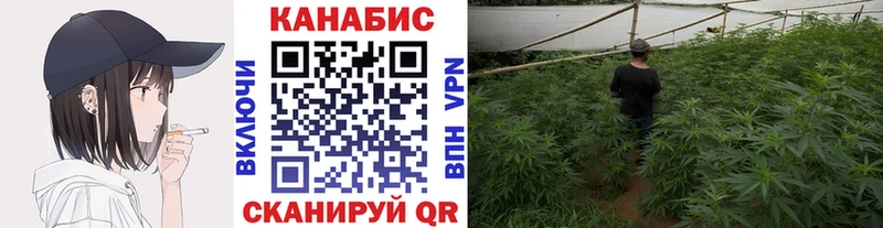 Шишки марихуана VHQ  Красный Кут 